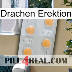 Dragon Erection 24